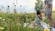 романтический минет на природе
