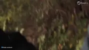 любительский секс на природе с девушкой