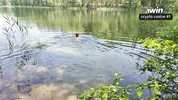 купается голышом в озере